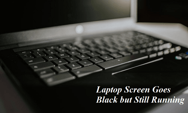 What To Do When Your Laptop Screen Goes Black But Still Running